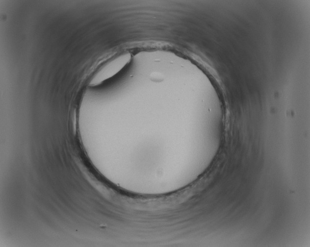 X0000084030013200703161817