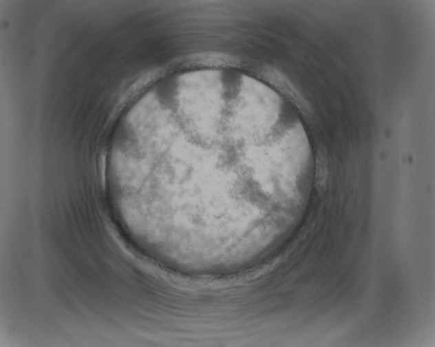 X0000084030014200703161817