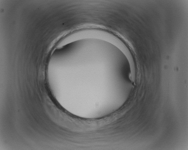 X0000084030015200703161817