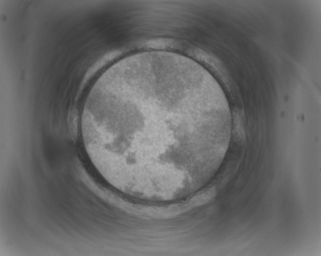 X0000084030016200703161817