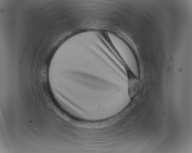 X0000084030017200703161817