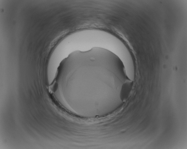 X0000084030019200703161817