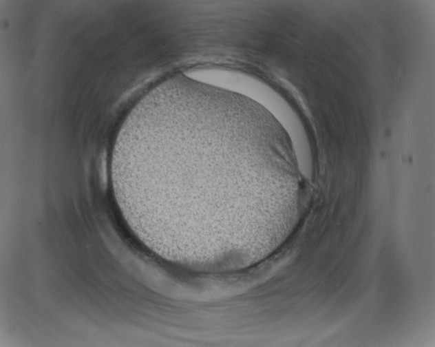 X0000084030020200703161817