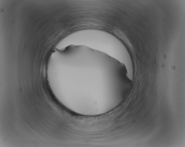 X0000084030021200703161817