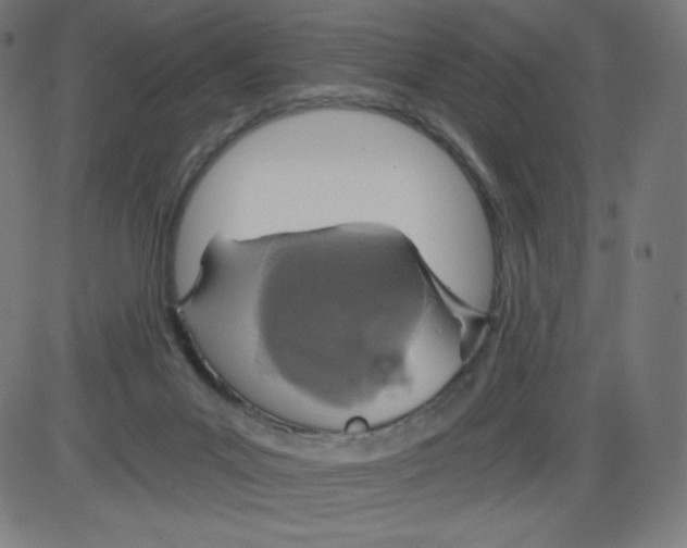 X0000084030023200703161817