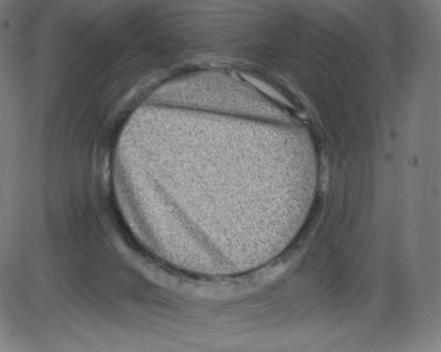 X0000084030024200703161817