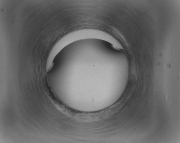 X0000084030025200703161817