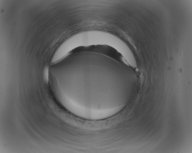 X0000084030027200703161817