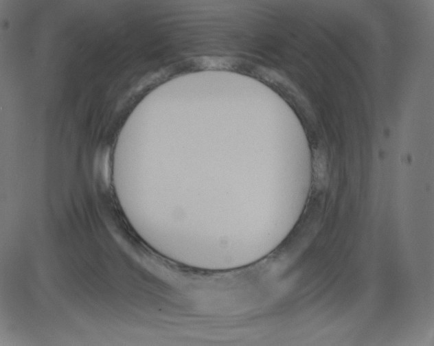 X0000084030028200703161817