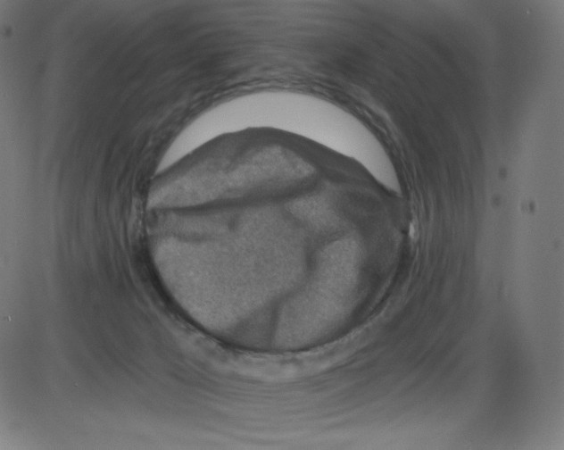 X0000084030029200703161817