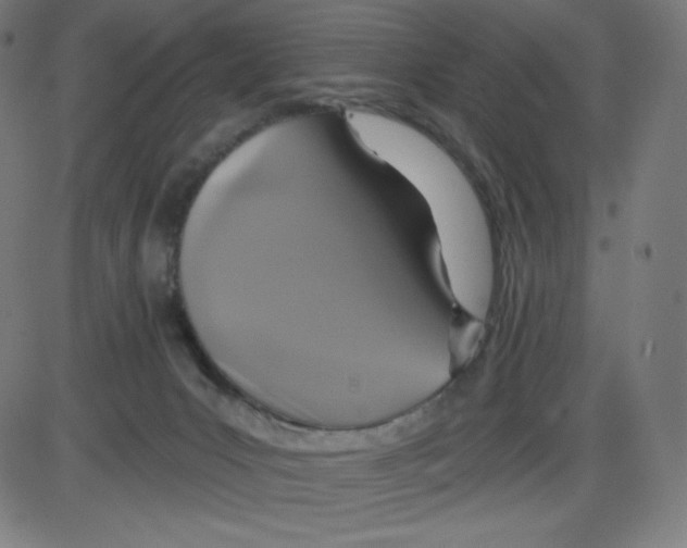 X0000084030031200703161817