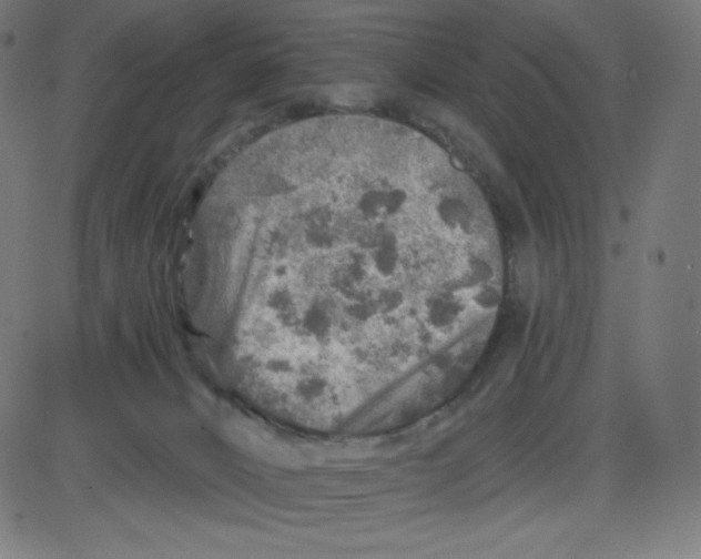 X0000084030032200703161817