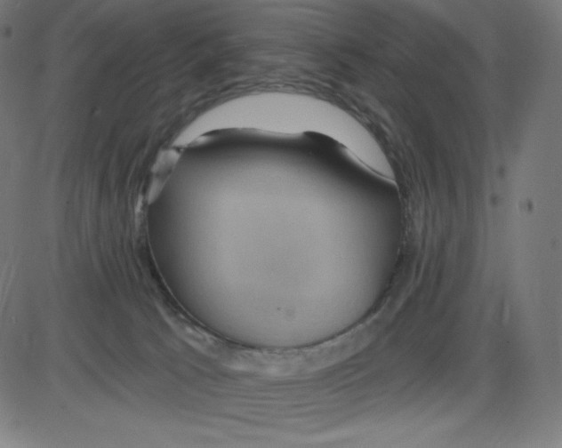 X0000084030033200703161817