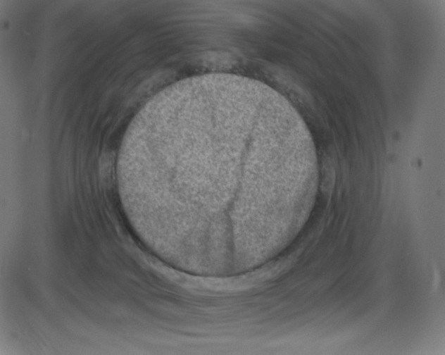 X0000084030034200703161817