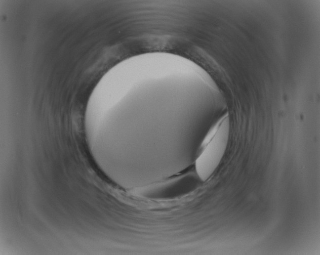 X0000084030035200703161817