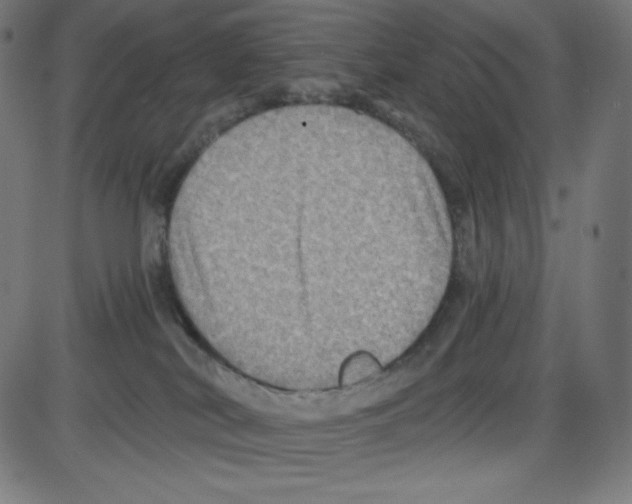 X0000084030038200703161817