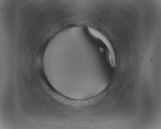 X0000084030039200703161817