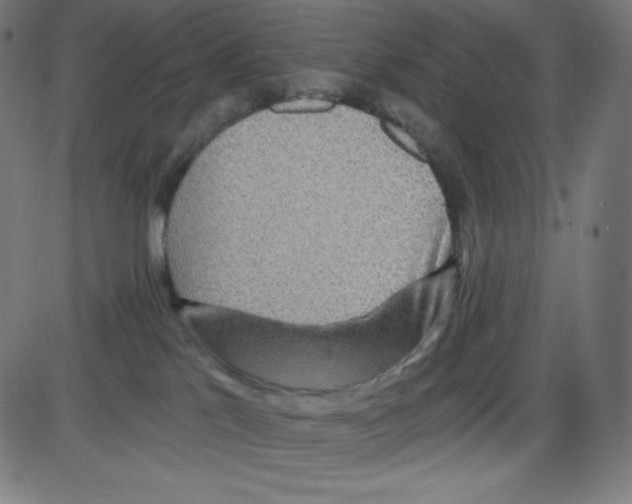 X0000084030041200703161817