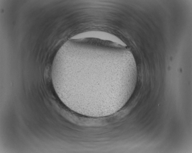 X0000084030044200703161817