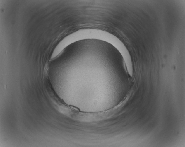 X0000084030045200703161817