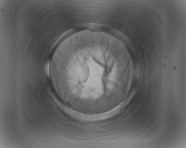 X0000084030047200703161817