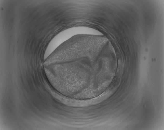 X0000084030048200703161817