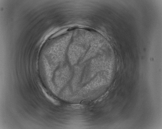 X0000084030050200703161816