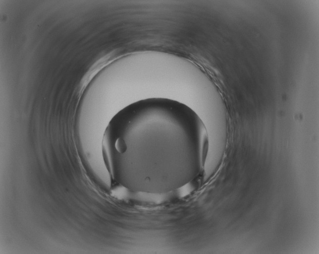 X0000084030051200703161816