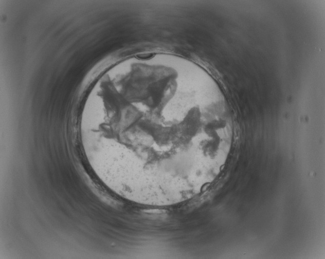 X0000084030053200703161816