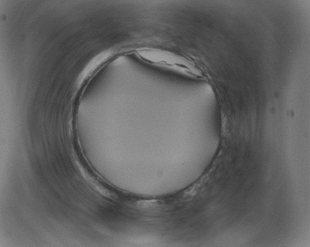 X0000084030054200703161816