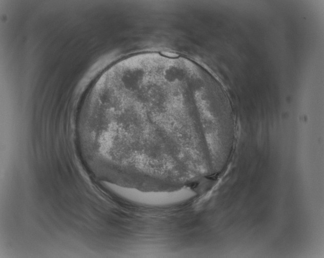 X0000084030055200703161816