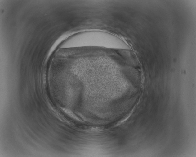 X0000084030056200703161816