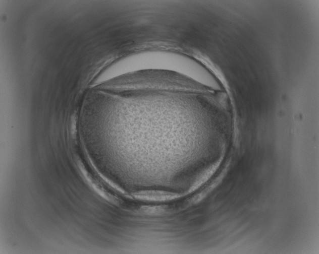 X0000084030057200703161816