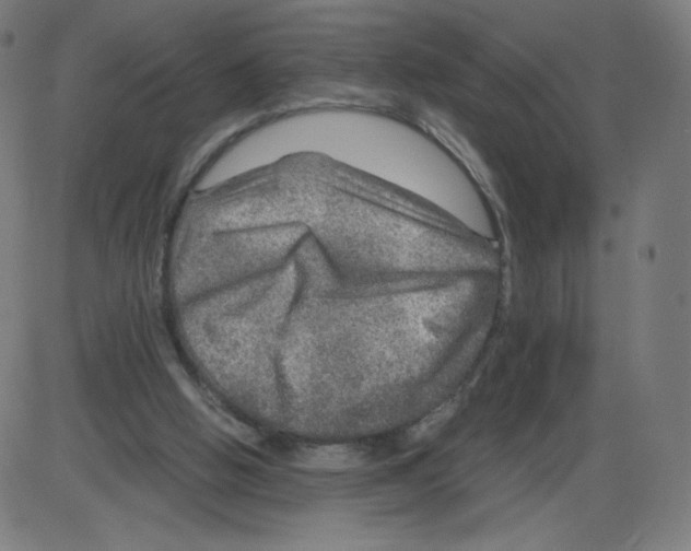 X0000084030058200703161816