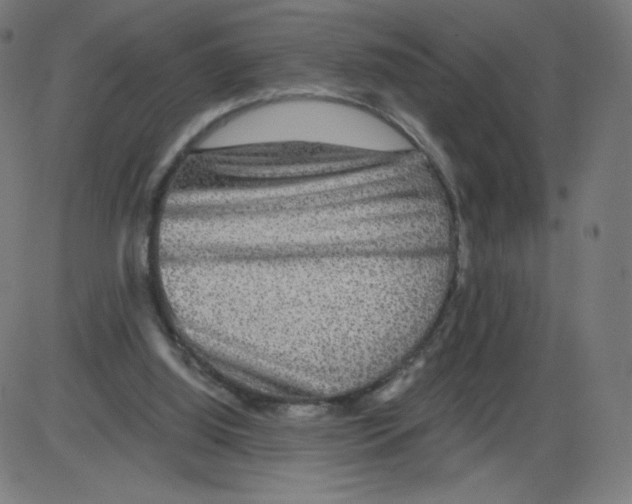 X0000084030060200703161816