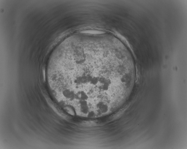 X0000084030061200703161816