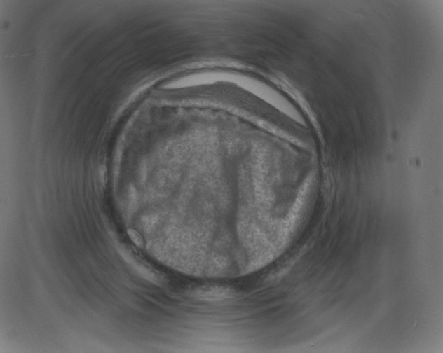 X0000084030063200703161816