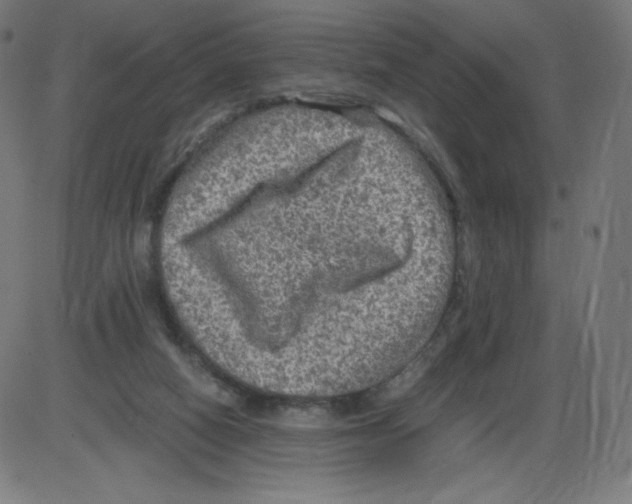 X0000084030066200703161816