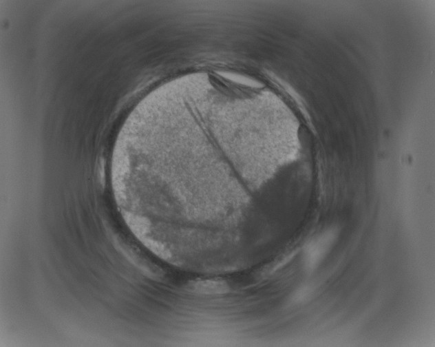 X0000084030067200703161816