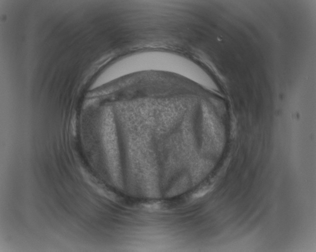 X0000084030068200703161816