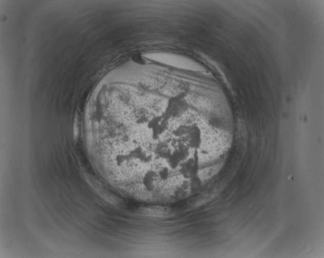 X0000084030069200703161816