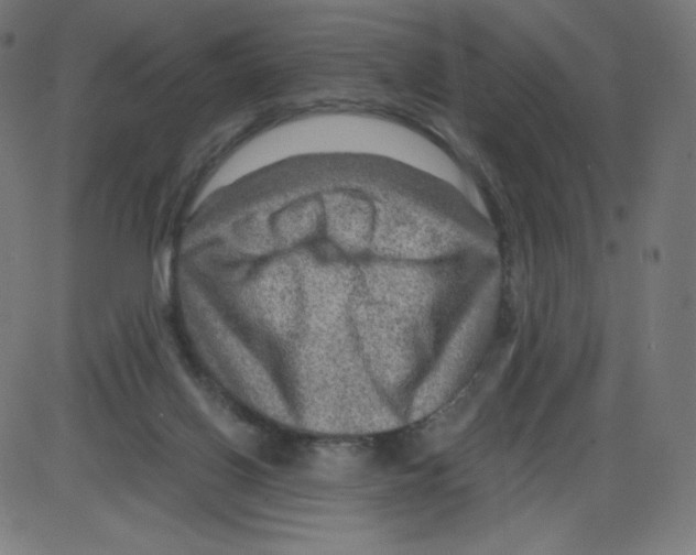 X0000084030070200703161816