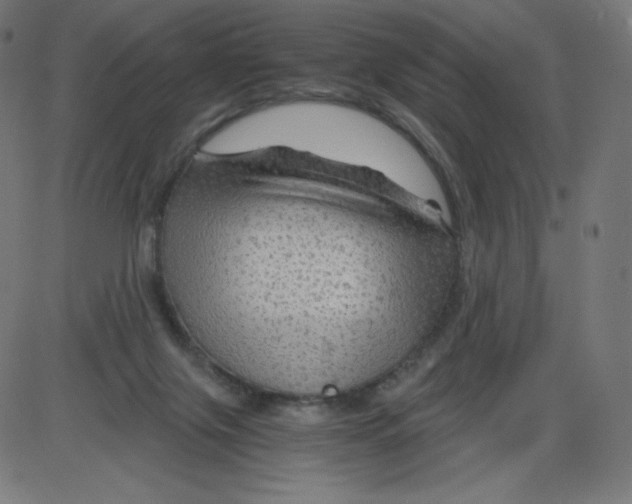 X0000084030071200703161816