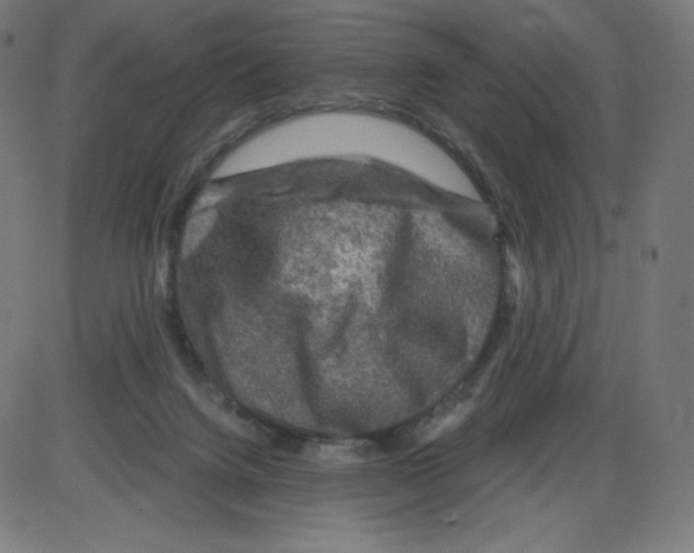 X0000084030072200703161816