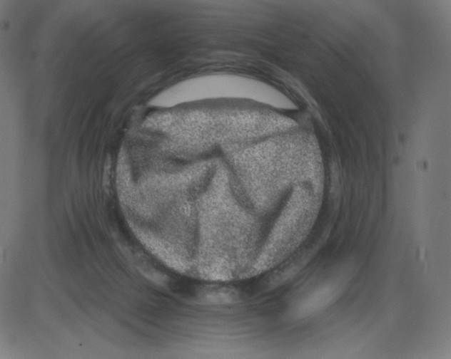 X0000084030073200703161816