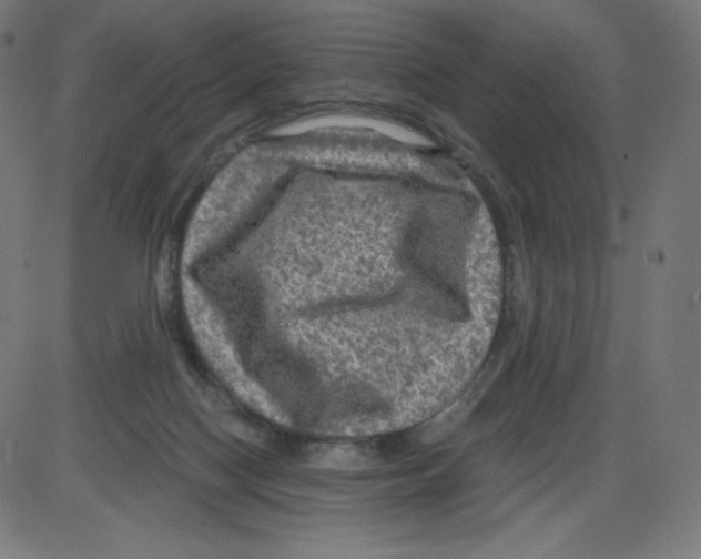 X0000084030074200703161816