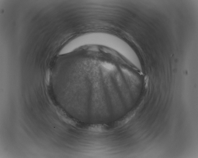 X0000084030076200703161816