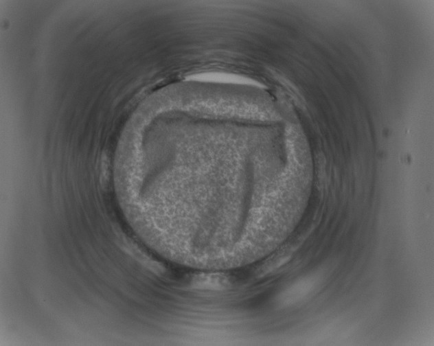 X0000084030077200703161816