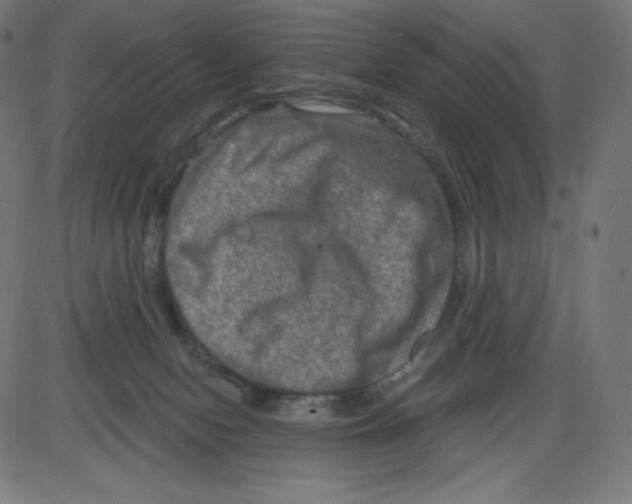 X0000084030078200703161816