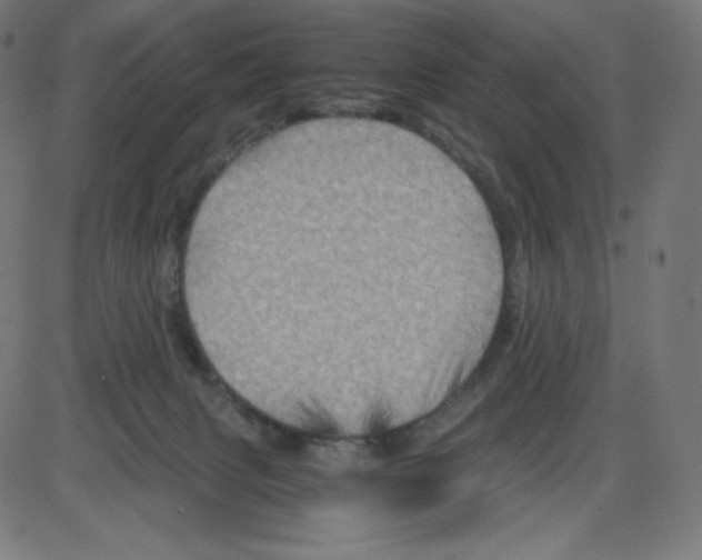 X0000084030079200703161816